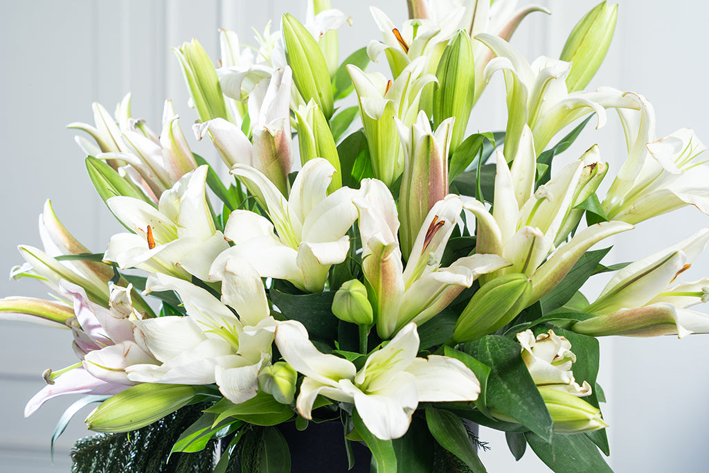 Round Series- Lilies