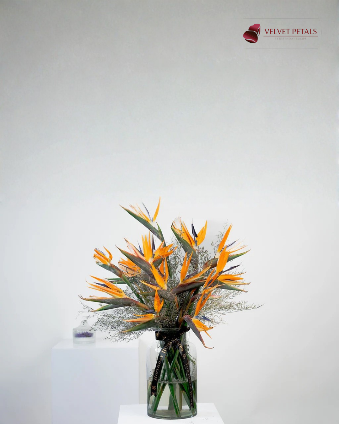 Orange Radiance